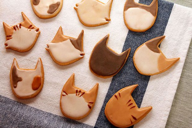 造型十分有趣的cookies曲奇饼干的唯美小清新图片_WWW.TQQA.COM