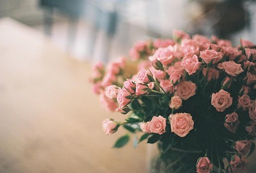 超唯美的花朵美图分享_WWW.TQQA.COM