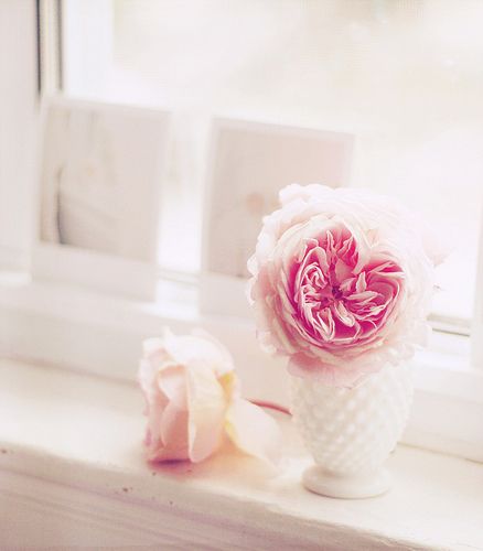 一路上或鲜花盛开，或落英缤纷_WWW.TQQA.COM