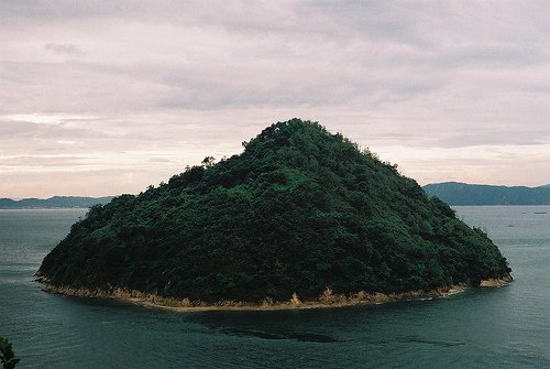 10张清新自然的小清新图片搭配励志的文字_WWW.TQQA.COM