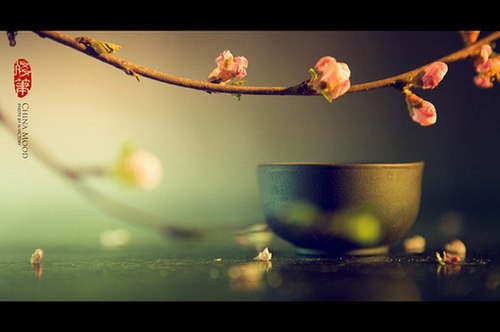 唯美的中国风静物写真_WWW.TQQA.COM