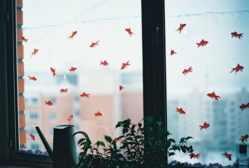 一万个美丽的未来，抵不上一个温暖的现在_WWW.TQQA.COM