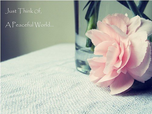 未看此花时，此花与汝心同归于寂_WWW.TQQA.COM