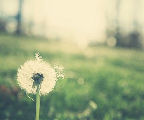 它会连成一条幸福的直线 -日系_WWW.TQQA.COM