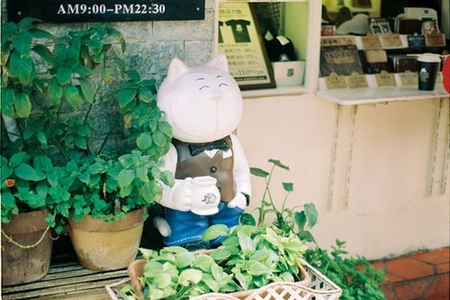 在那样的年华里，我们曾经遇见谁_WWW.TQQA.COM