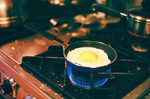 小食代之死胖子养成记_WWW.TQQA.COM