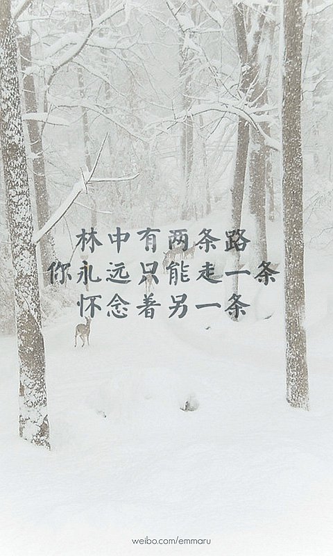 你再怎么不舍，我们终归是回不去了_WWW.TQQA.COM