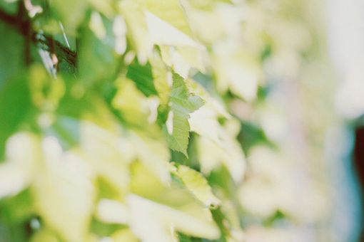 不得不承认，岁月是一本太仓促的书_WWW.TQQA.COM