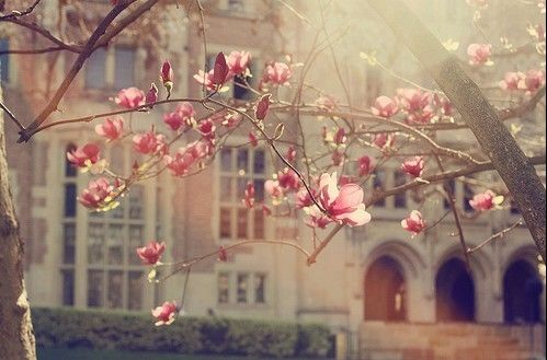 在自己心中盖了座花园_WWW.TQQA.COM