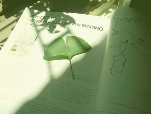 唯美又惬意感觉的小清新静物系列美图_WWW.TQQA.COM