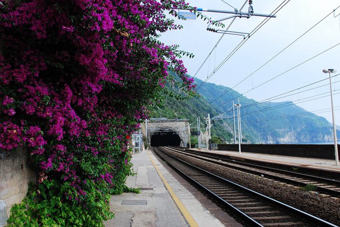 值得去旅行的意大利五渔村唯美图片_WWW.TQQA.COM