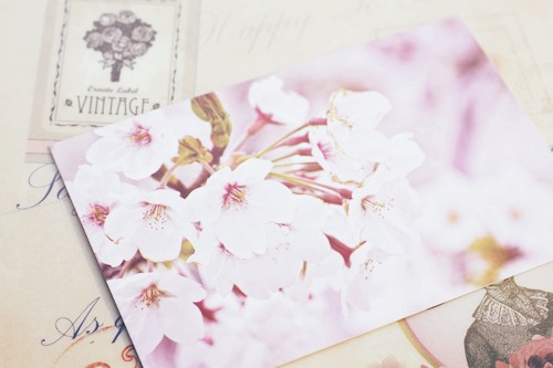 若我们分离我在向日葵花海等你_WWW.TQQA.COM