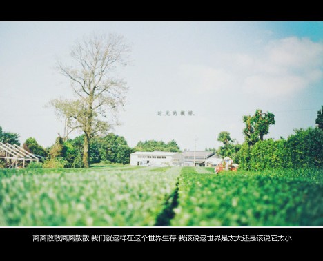 没有前因，无关风月，只是爱了_WWW.TQQA.COM