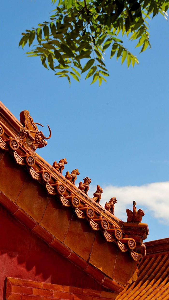 生机盎然的故宫紫禁城风景图片_WWW.TQQA.COM