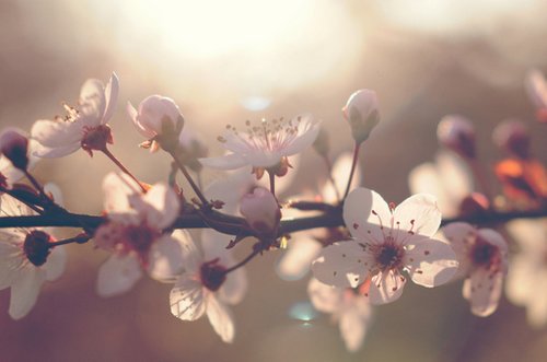 活着，就是幸福_WWW.TQQA.COM