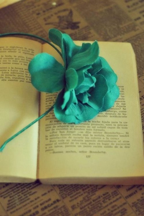 你可以装傻，但不可以不放下 -小清新图片_WWW.TQQA.COM