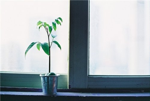 无论你是否喜欢，存在过的，永远都擦拭不去_WWW.TQQA.COM