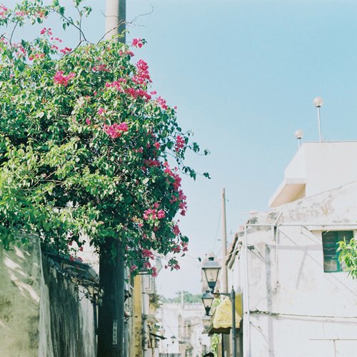 你可以装傻，但不可以不放下 -小清新图片_WWW.TQQA.COM