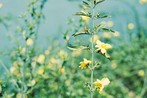 不得不承认，岁月是一本太仓促的书_WWW.TQQA.COM