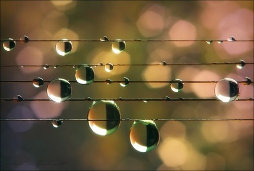 跳动的音符  唯美音乐类治愈系图片_WWW.TQQA.COM