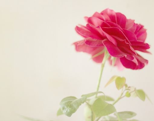 很想说我已经习惯了一个人_WWW.TQQA.COM