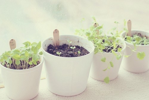 唯美写意的小清新图片量贩_WWW.TQQA.COM