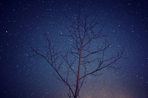 长夜漫漫 寂寞如斯 唯美夜景lomo图片_WWW.TQQA.COM