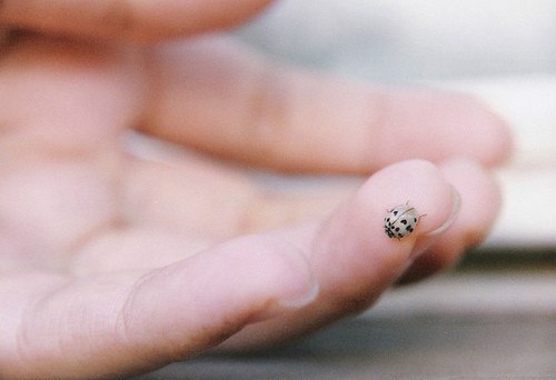 一场未寄走的游荡思念 -小清新_WWW.TQQA.COM