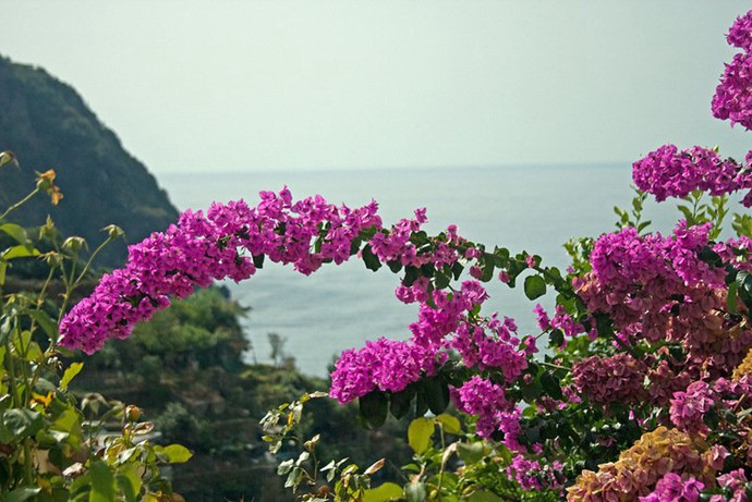 值得去旅行的意大利五渔村唯美图片_WWW.TQQA.COM