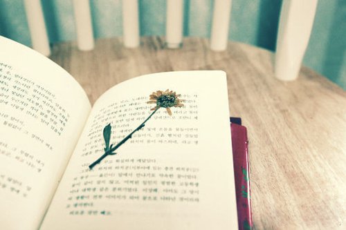 你的未来，只有你自己才能明白_WWW.TQQA.COM
