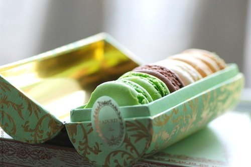 Macaron才是甜品界的上流名媛_WWW.TQQA.COM
