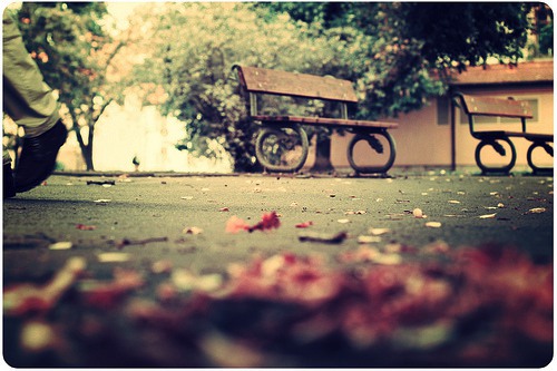 途中遇到的人你能记住多少  唯美意境小清新图片_WWW.TQQA.COM