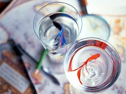 我要去那有你的未来_WWW.TQQA.COM