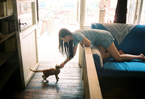 你好，前方有一只猫咪_唯美可爱猫咪图片_WWW.TQQA.COM