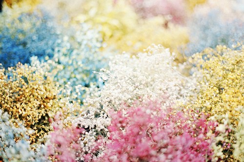 梵花劫_WWW.TQQA.COM