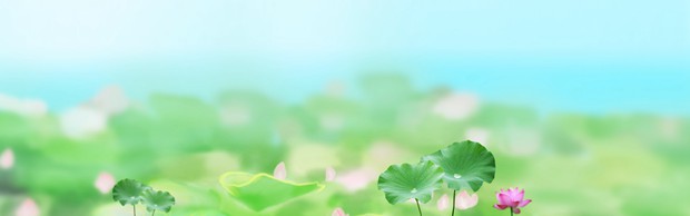 你好，四月的春天_唯美春季风光小清新图片_WWW.TQQA.COM