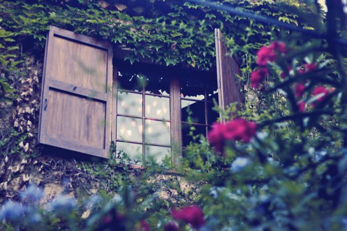 想要最好，就一定会给你最痛的过程 小清新图片_WWW.TQQA.COM