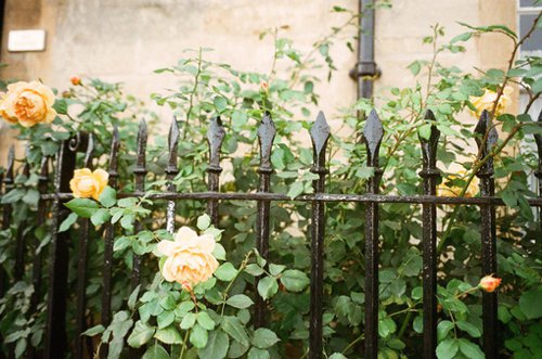 我要的就是春暖花开_唯美图片_WWW.TQQA.COM