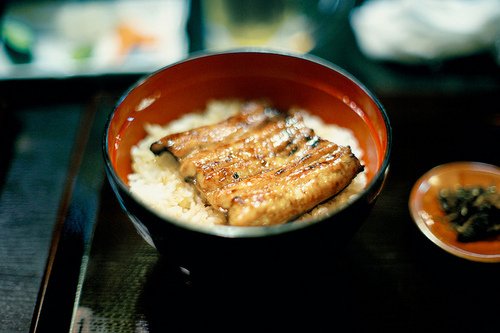 她说吃饱了才有力气减肥啊_WWW.TQQA.COM