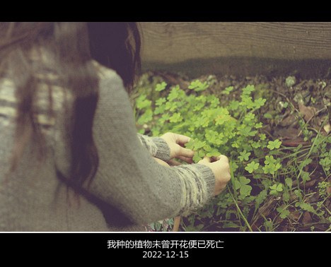 你希望我们还是原来的自己吗_WWW.TQQA.COM