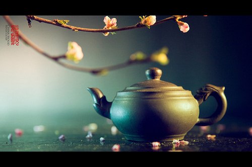 唯美的中国风静物写真_WWW.TQQA.COM