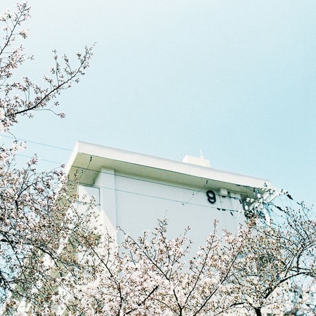 日本小镇街头的旅拍优美风光图片_WWW.TQQA.COM