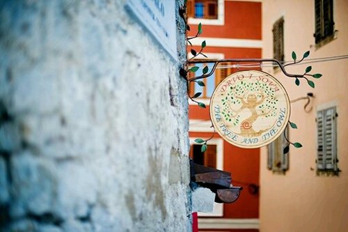 很文艺的日系小清新唯美图片分享_WWW.TQQA.COM