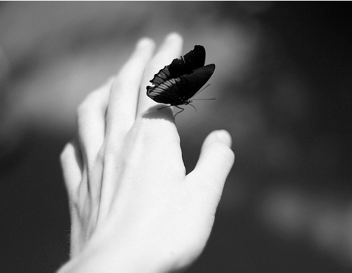 今夜，你是否还活着  略显孤独的黑白lomo图片_WWW.TQQA.COM