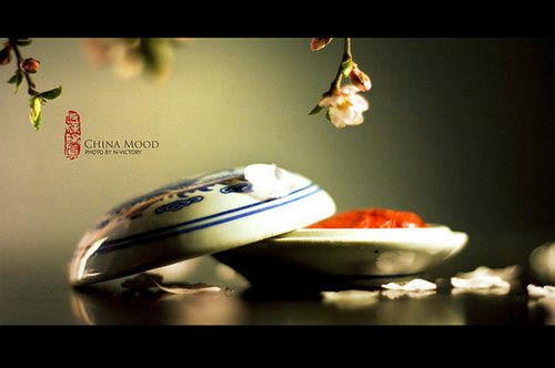 唯美的中国风静物写真_WWW.TQQA.COM