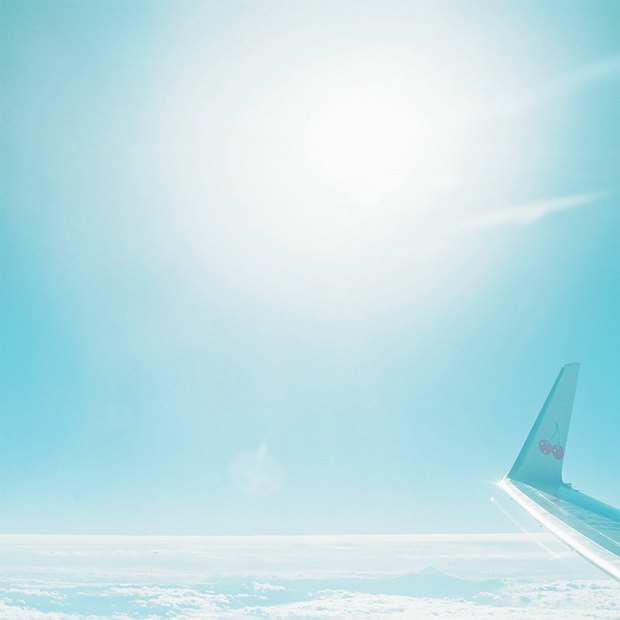 画面简单却清新治愈系的静物美图图片_WWW.TQQA.COM