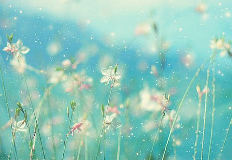 只愿落花时节能逢君 -小清新_WWW.TQQA.COM