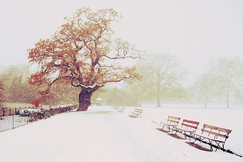 你好，冬天 唯美雪景图片_WWW.TQQA.COM