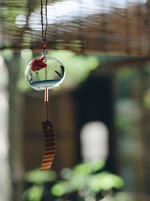 随风低吟浅唱，一切云淡风轻_WWW.TQQA.COM