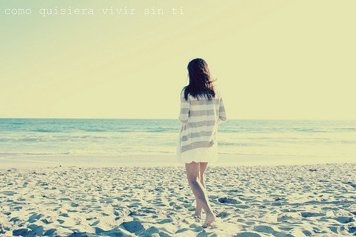 那个教会你爱的人在哪里呢_WWW.TQQA.COM